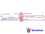 El ciclo menstrual con el pico de LH y la temperatura basal