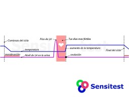 Tu ciclo menstrual con el pico de LH y la temperatura