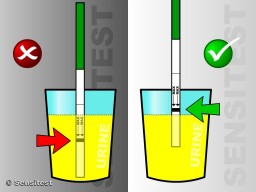 Sumerjir el test hasta la lnea MAX en la orina.