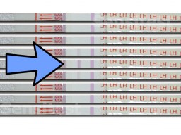 El test con dos lineas te indica en qu da tienes las mximas probabilidades de quedarte embarazada 